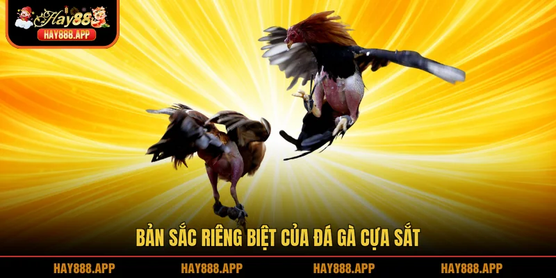 Bản sắc riêng biệt của đá gà cựa sắt