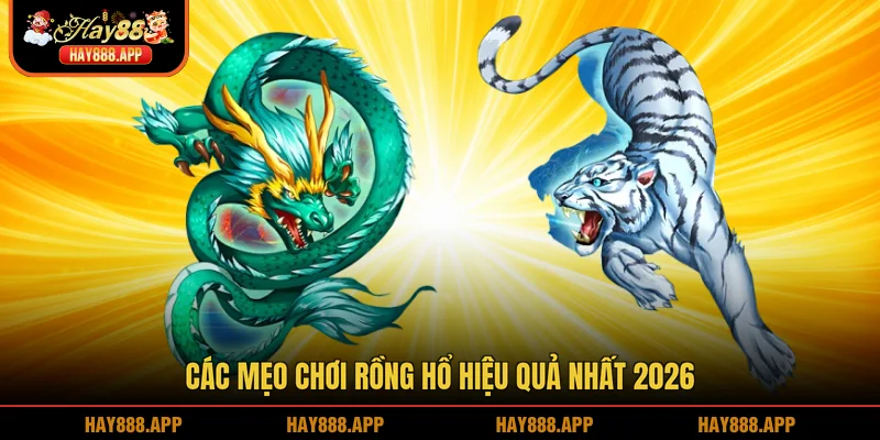 Các mẹo chơi Rồng hổ hiệu quả nhất 2026