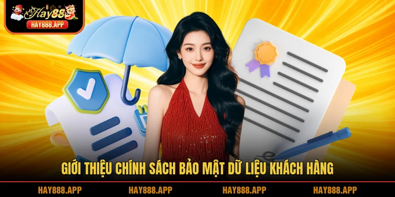 Giới thiệu chính sách bảo mật dữ liệu khách hàng