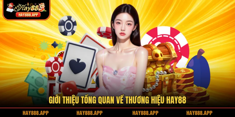 Giới thiệu tổng quan về thương hiệu HAY88
