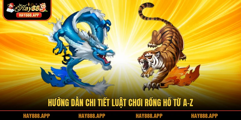 Hướng dẫn chi tiết luật chơi Rồng hổ từ A-Z