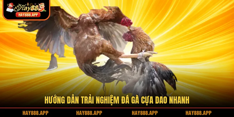 Hướng dẫn trải nghiệm đá gà cựa dao nhanh