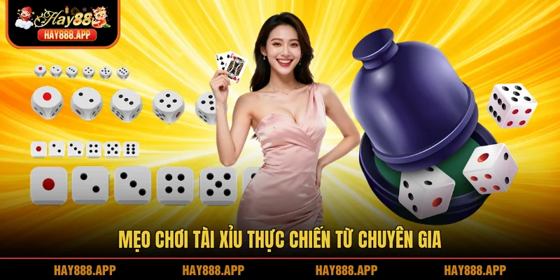 Mẹo chơi Tài xỉu thực chiến từ chuyên gia