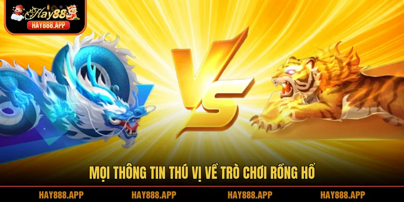 Mọi thông tin thú vị về trò chơi Rồng hổ
