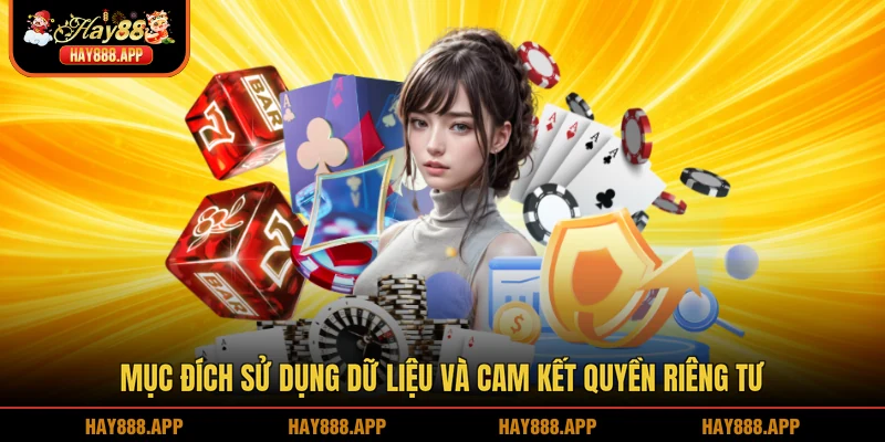 Mục đích sử dụng dữ liệu và cam kết quyền riêng tư