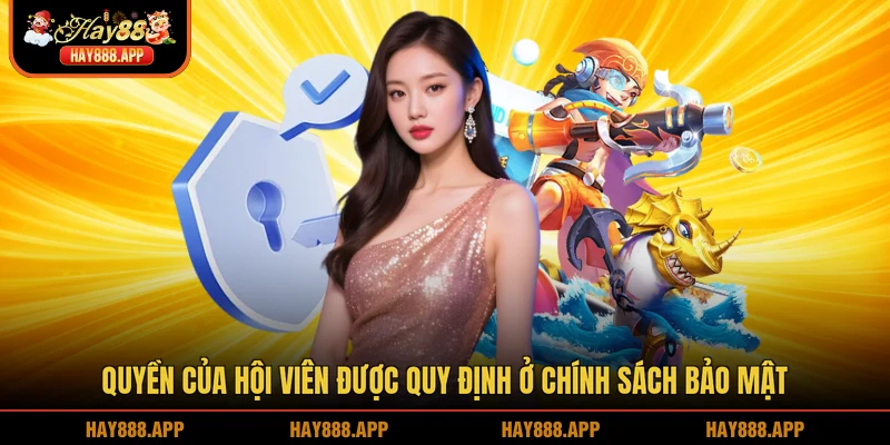 Quyền của hội viên được quy định ở chính sách bảo mật