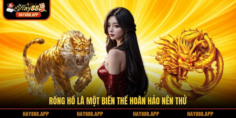 Rồng Hổ là một biến thể hoàn hảo nên thử