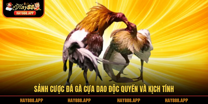 Sảnh cược đá gà cựa dao độc quyền và kịch tính