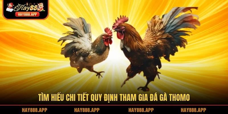 Tìm hiểu chi tiết quy định tham gia Đá gà Thomo