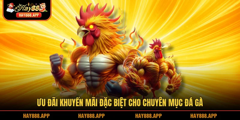 Ưu đãi khuyến mãi đặc biệt cho chuyên mục đá gà